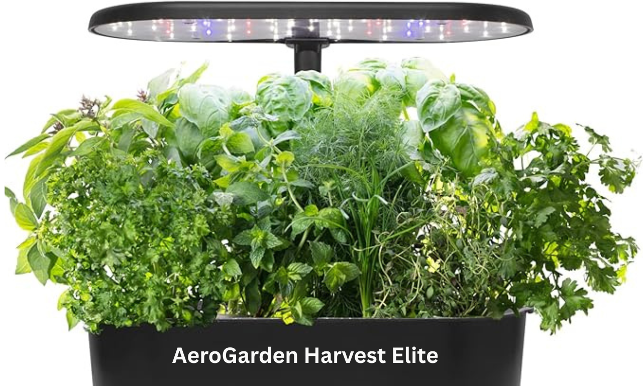 AeroGarden Harvest Elite