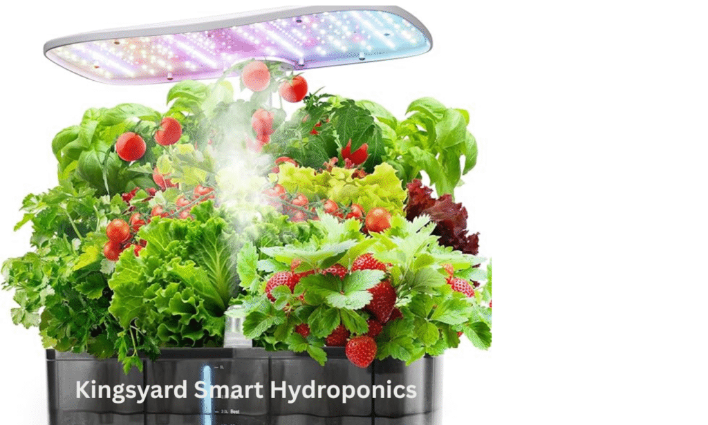 Kingsyard Smart Hydroponics